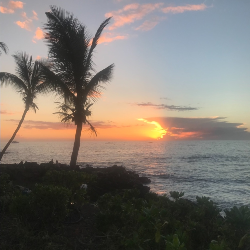 Meet your Posher, Marissa